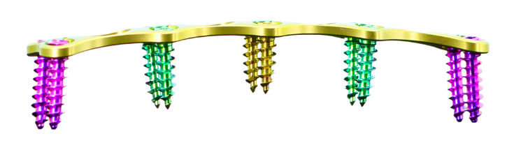 Cervical plate with narrow body and slender look