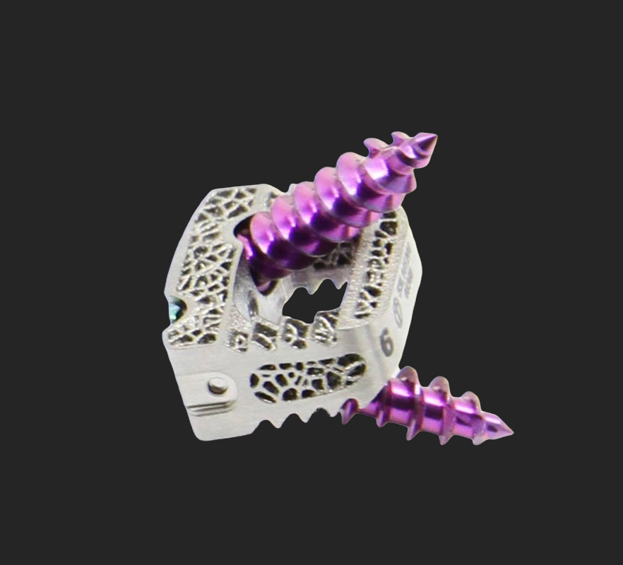 peek optima material cervical stand alone implant device