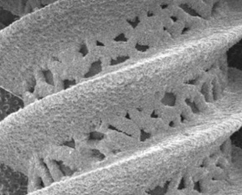 3d Printed Titanium Image