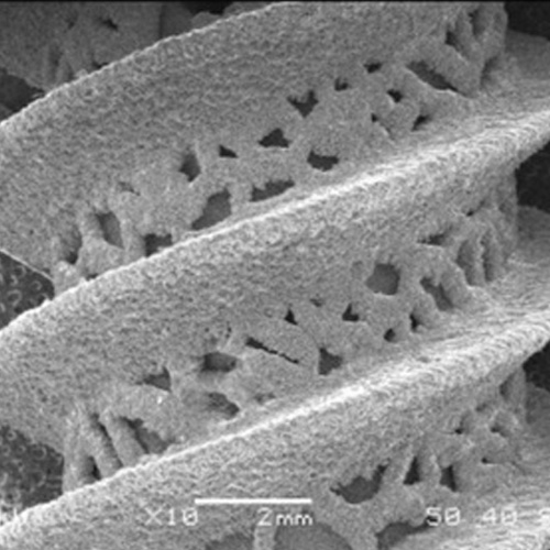 3d Printed Titanium Image