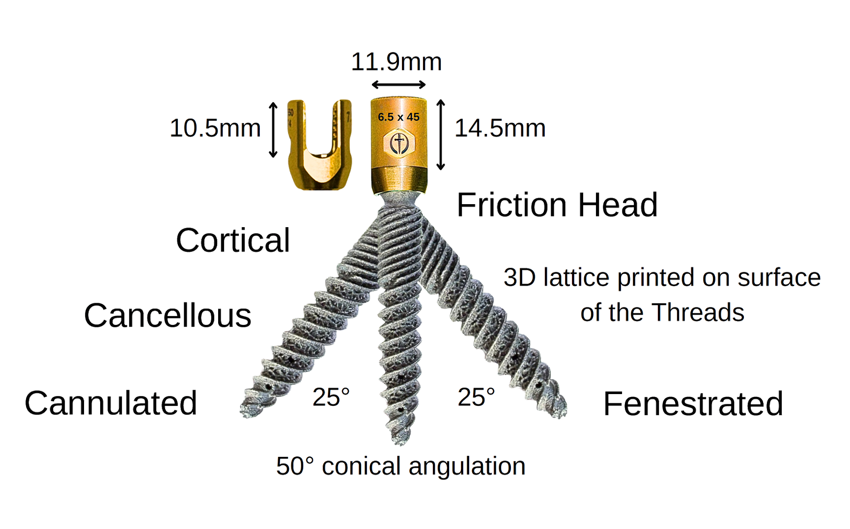 3d Printed Pedicle Screw Measurements Diagram 2