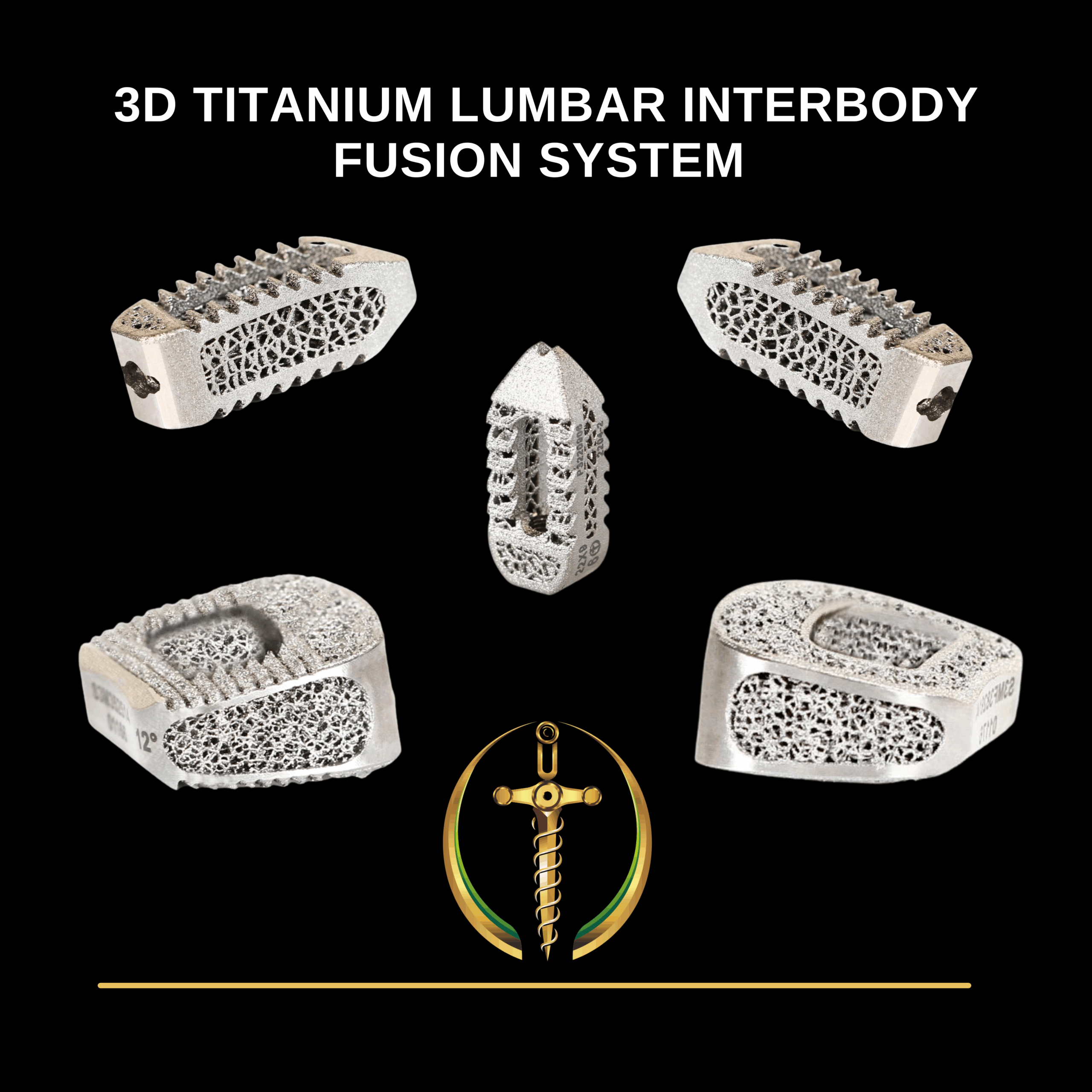 3d Titanium Lumbar Fusion System 2