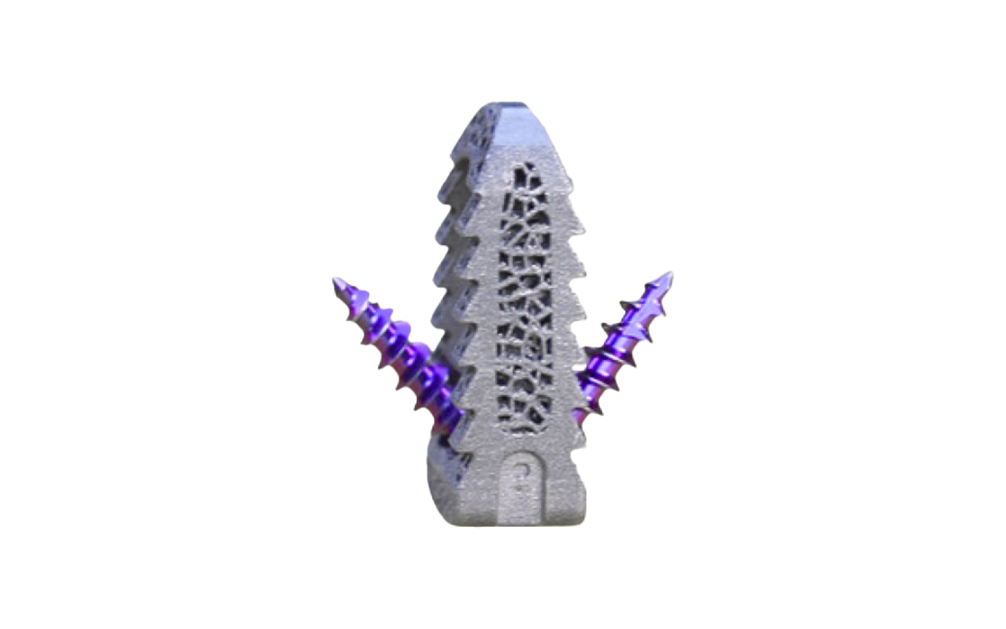 Posterior Si Screw 2