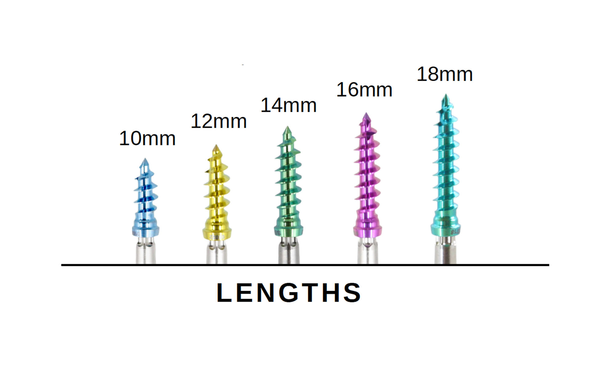 Posterior Screw Lengths Posterior Screw Lengths